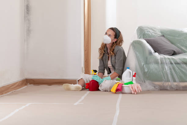 Reliable Mold Remediation contractor in Benson, MN by WQB Mold Removal